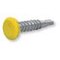 Plate Protector 6x29 jaune